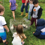 Young-kids-gathered-arounda-a-cage-of-cute-little-chicks-outside-on-green-grass