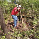 Woman-in-a-red-shirt-in-midswing-using-an-axe-on-overgrowth