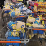 shopping-carts-full-of-turkeys