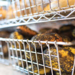 Close-Up-of-a-basket-full-of-bagels