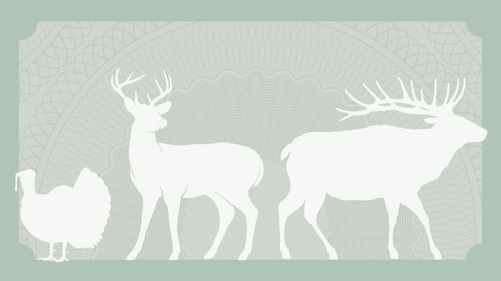 White silhouettes of a turkey, deer, and elk on the background of a money texture.