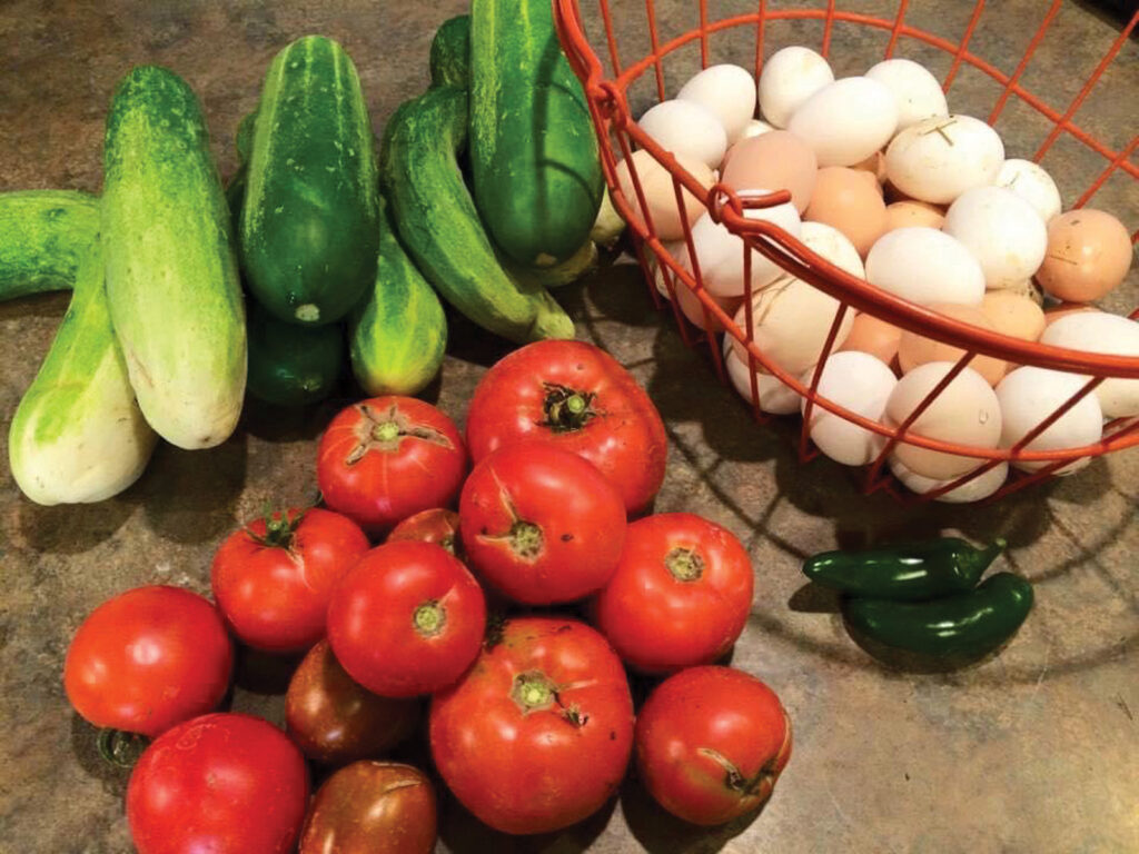 Harvest of Produce and Eggs