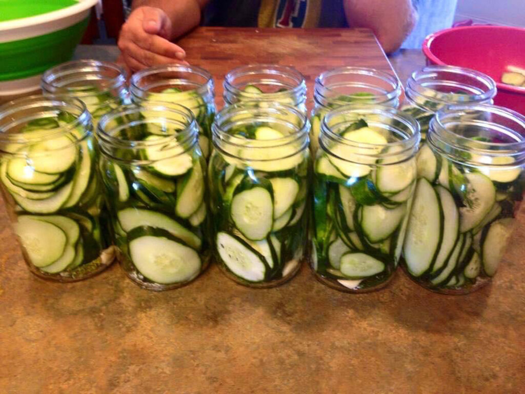 Jars of Farm Fresh Cucumbers ready to be Pickled