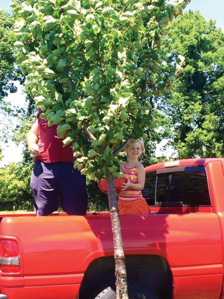 Erica's daughter picking cherries on a red truck