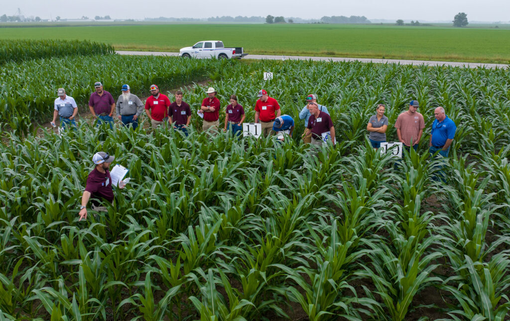MFA employees during a "Training Camp" in a field of crops learning about product evaluation.