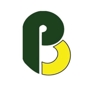 Prost Builders Logo