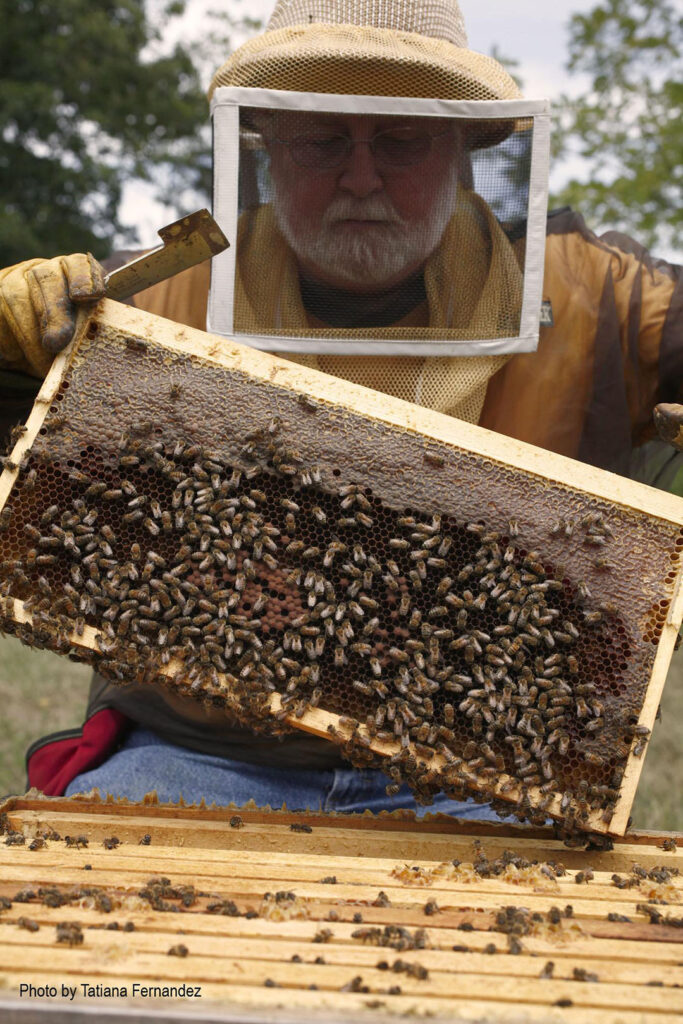 Steve Moeller With Bees