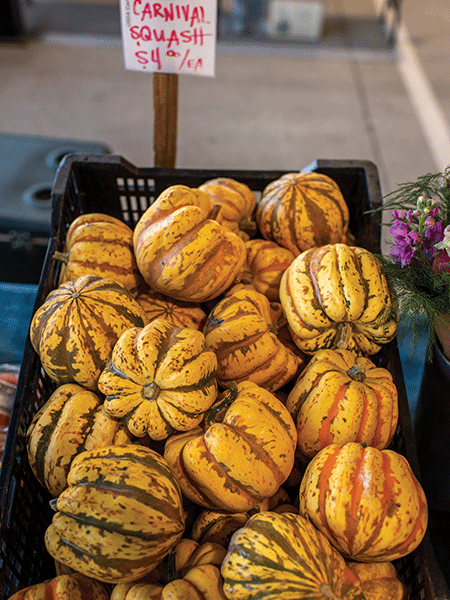 Crate full of carnival squash