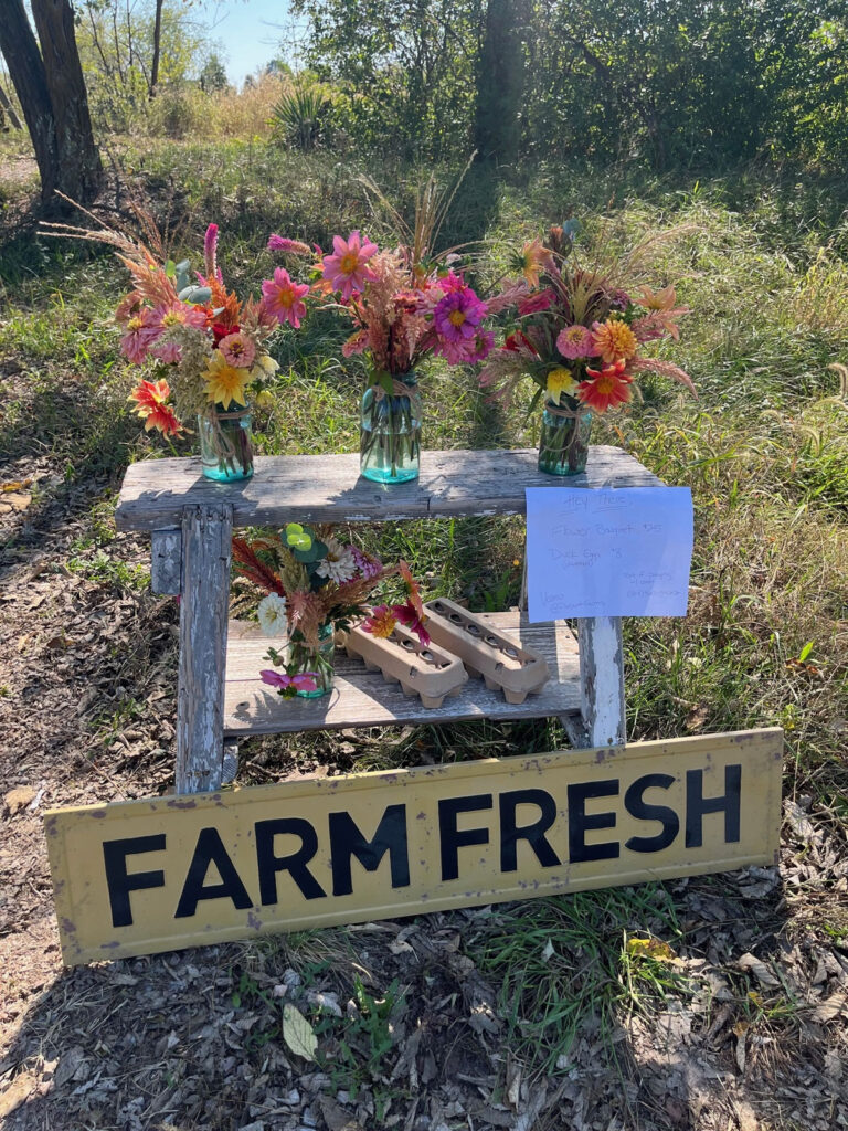 Farm Fresh Flowers And Eggs From Pierpont Farms