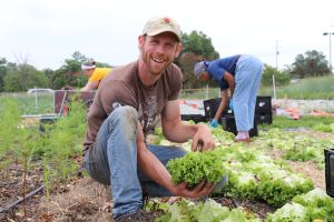 CCUA Volunteer Picking Lettuce at Farm