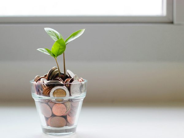 A small plant begins growing inside a cup filled with coins.