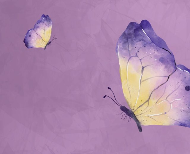 Butterfly-on-purple-background
