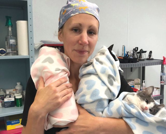 Carissa Luttrell, registered vet tech, cuddling kittens after surgery.