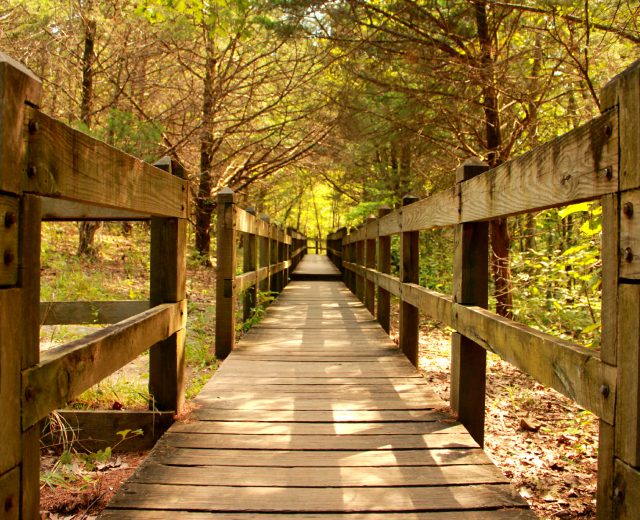 Rock-Bridge-Jennifer-McGovney