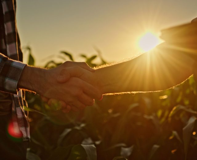 Agriculture Business Partnership