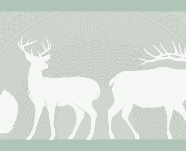 White silhouettes of a turkey, deer, and elk on the background of a money texture.