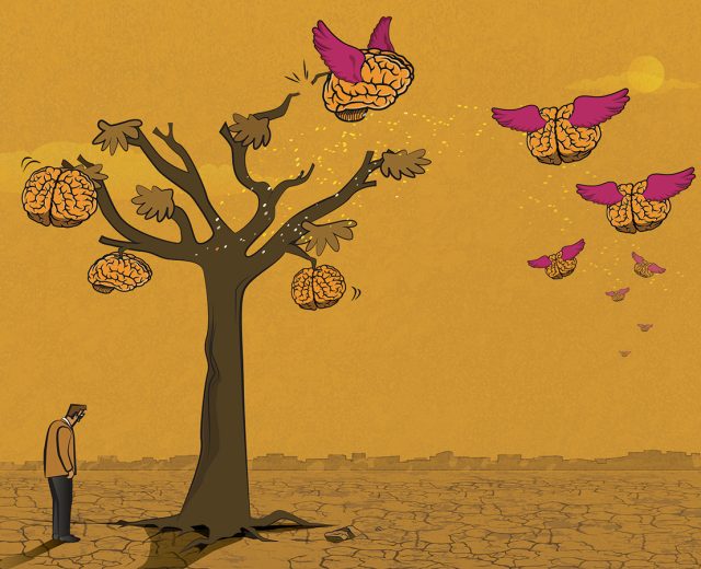 Featured Illustration Of Brains Free From A Dying Tree To Fly Somewhere Else