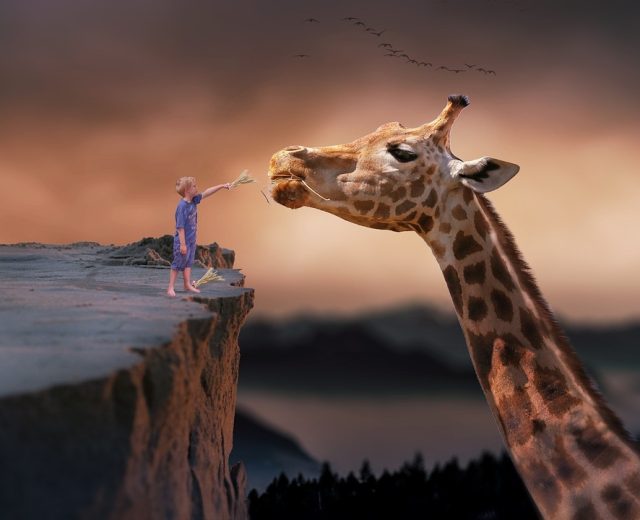 Giraffe and a small boy in dreamscape illustration.