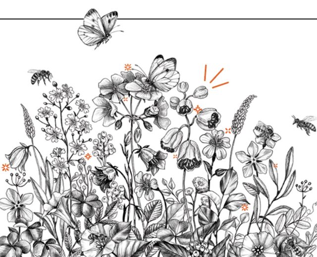 illustration-of-butterfly-and-bees-in-blooming-flowers
