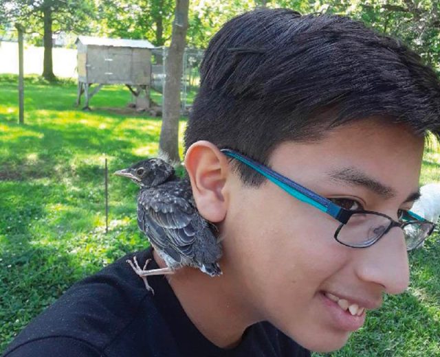 Josiah Jainchill with his rescued robin