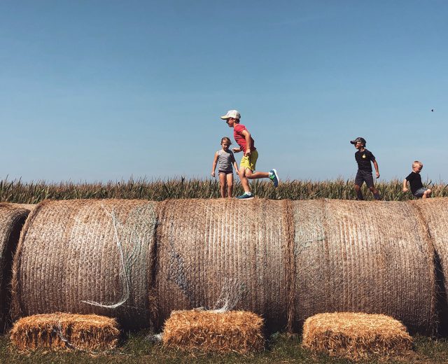 Kids running across hay bales at Shryock Callaway Farms