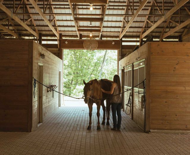 timber-ridge-performance-horses-barn