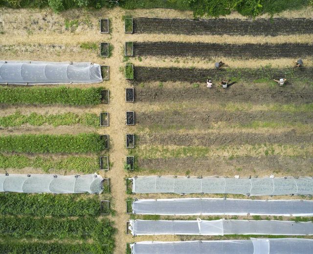 veteran-urban-farm-columbia-1